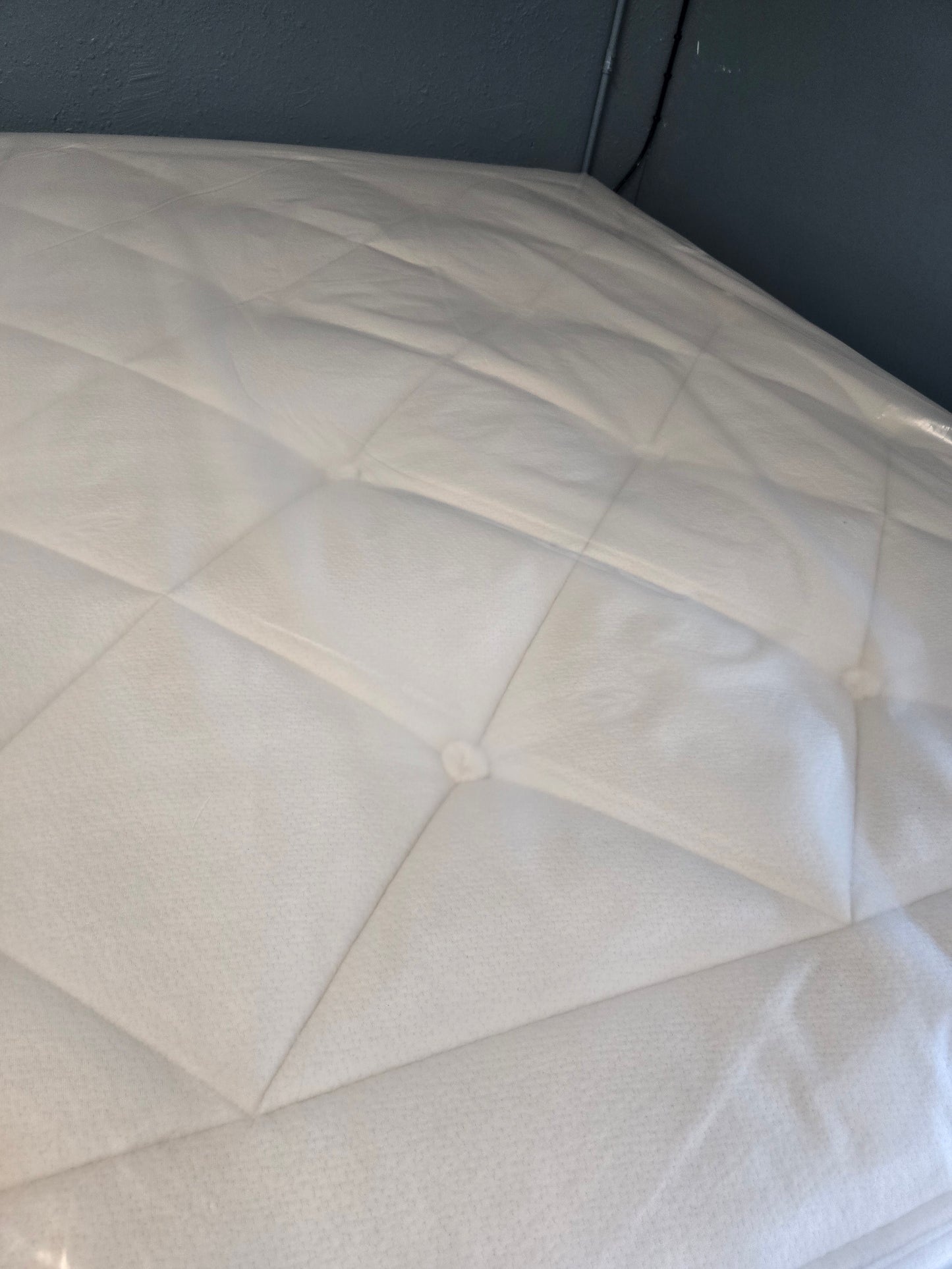 Avocado Luxury Organic Standard Medium No Pillow Top Queen Size