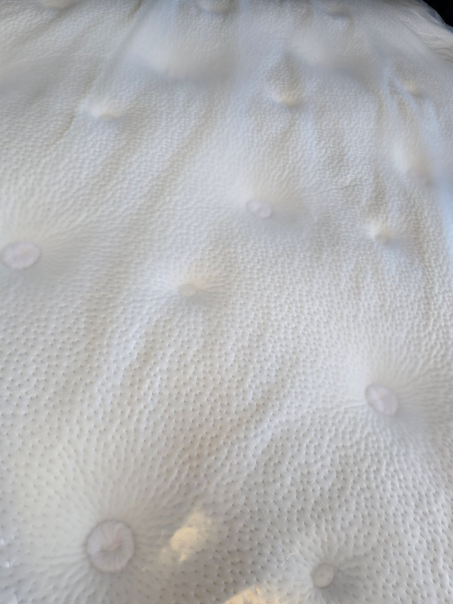 Asteria Natural Skye Ultra Plush Euro Top Queen Size