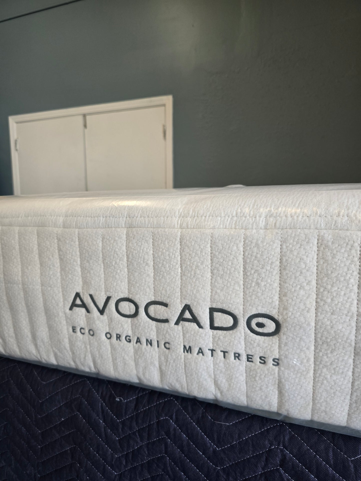 Avocado Eco Organic King/ Cal-King