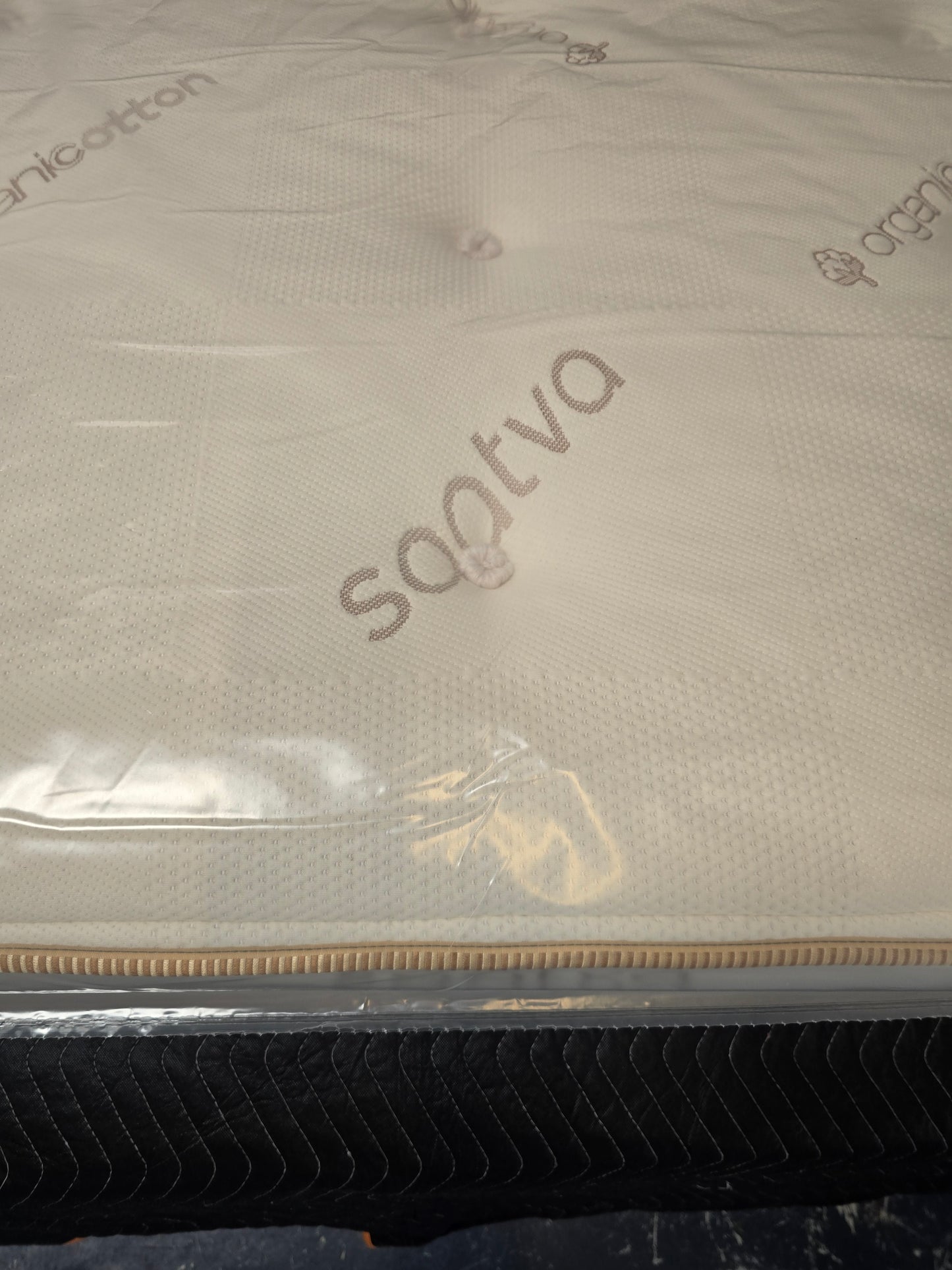 Saatva Murphy Bed Queen Size