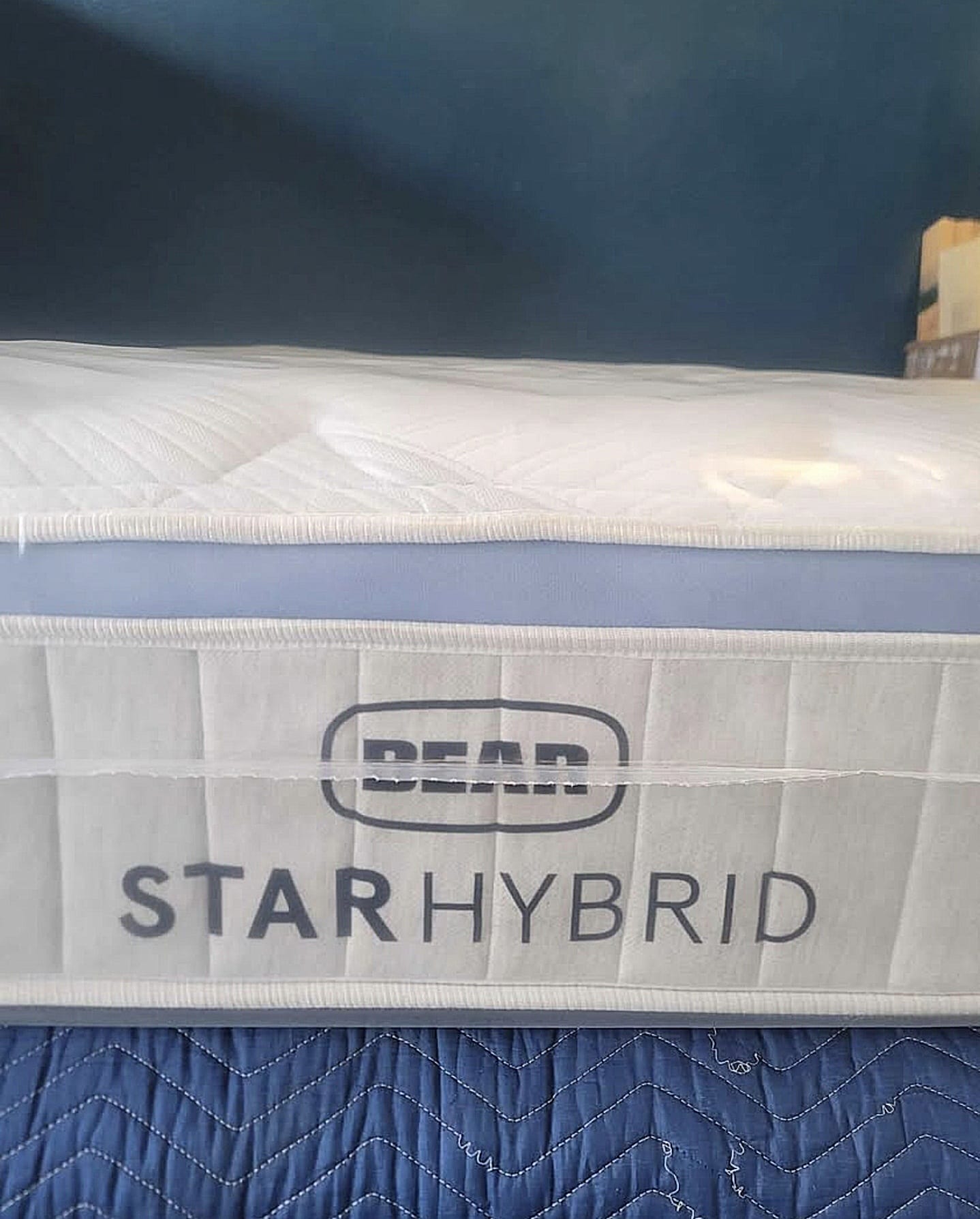 Bear Star Hybrid Medium King